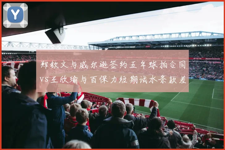郑钦文与威尔逊签约五年球拍合同vs王欣瑜与百保力短期试水条款差异
